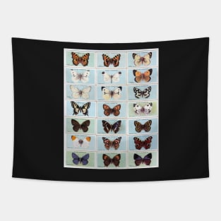 NATURAL HISTORY BUTTERFLIES SPECIMEN BOTANICAL POSTER Tapestry