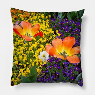 Rainbow of Flowers in Riga, Latvia (Europe) Pillow