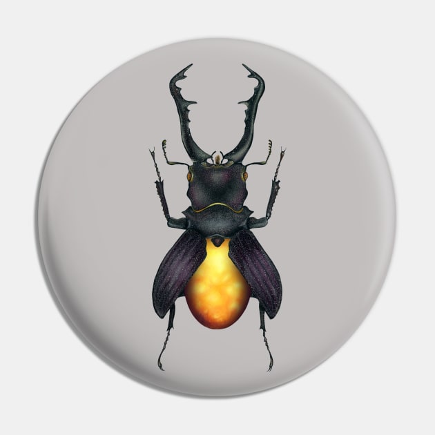 Amber Beetle Pin by illucalliart