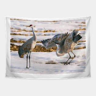 Sandhill Crane Tapestry