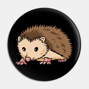 Hedgehog Hedgehogs Pin