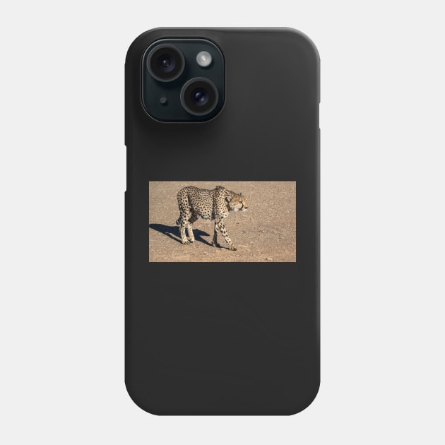 Cheetah walking. Phone Case by sma1050