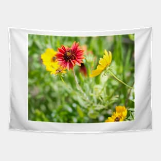 Colorful Spring Wildflowers Indian Blanket and Coreopsis Tapestry