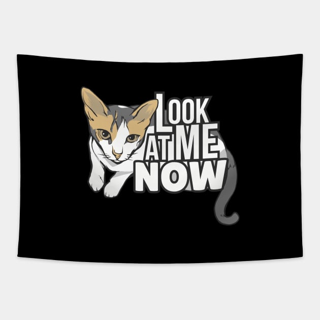 Look at me now - funny cat design Tapestry by LR_Collections