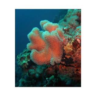 Red Sea Coral Reef T-Shirt