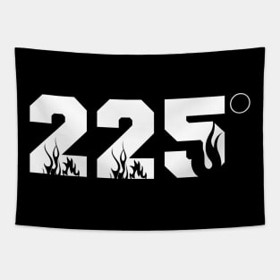 225 degrees Tapestry