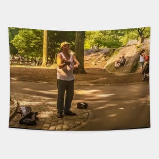 Central Park, Manhattan, New York City Tapestry