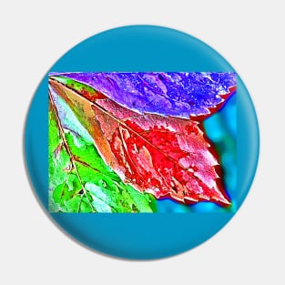 Virginia Creeper Leaves Pin