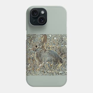 Bunny and Clover 1-6 Phone Case