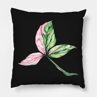 Syngonium Pink Splash Leaf Pillow