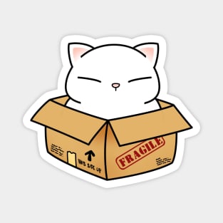 Cat in the Box Magnet