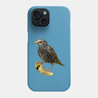 Starling in the sun Phone Case