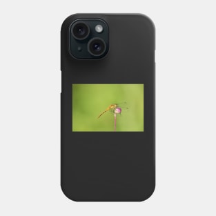 Grab Life By The Ball Phone Case