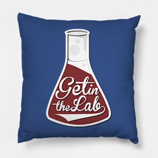 Get in the Lab - Flask Pillow