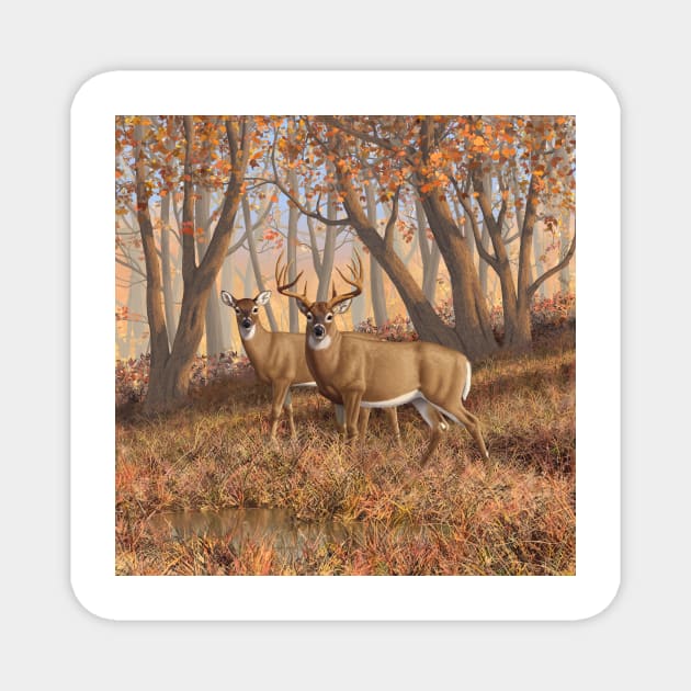 Whitetail Deer Buck and Doe in Autumn Woods Magnet by csforest