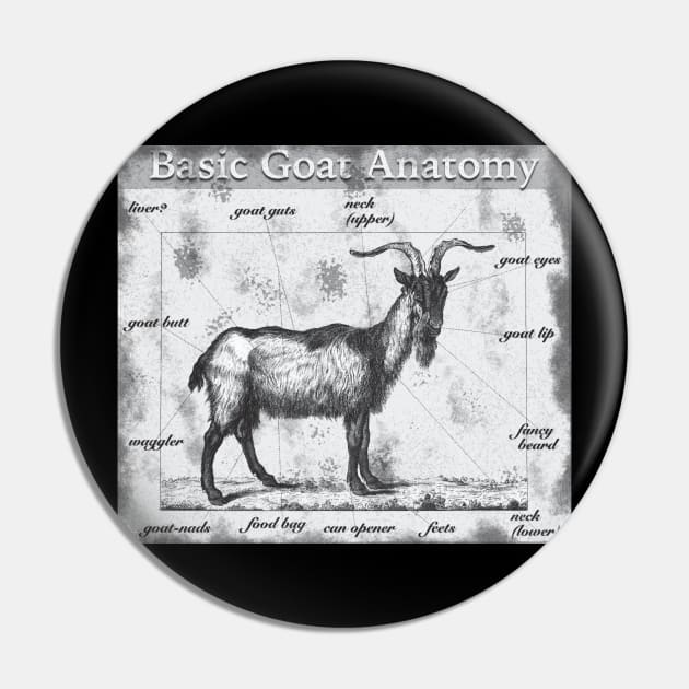 Basic Goat Anatomy Pin by KilburKilbur