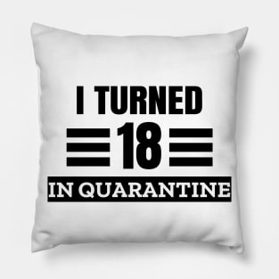 I Turned 18 In Quarantine Pillow