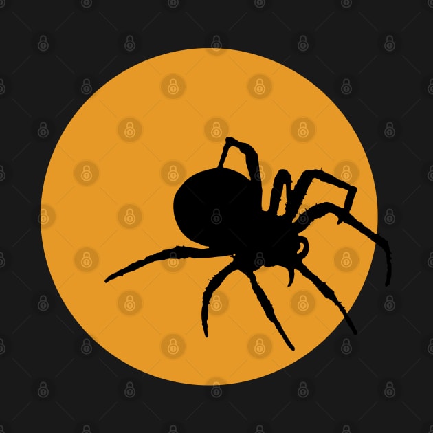 Halloween | Halloween Spider by Ms Ruth