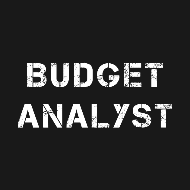 Budget Analyst by PallKris