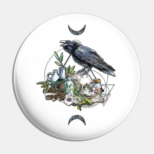 The Blue Raven Pin