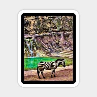 A Zebra Enchanted Magnet