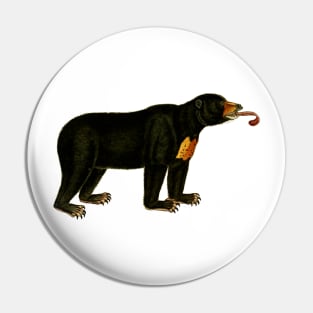 Bear Pin