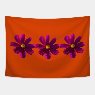 Three Dark Pink Cosmos Flowers Floral Photo Tapestry