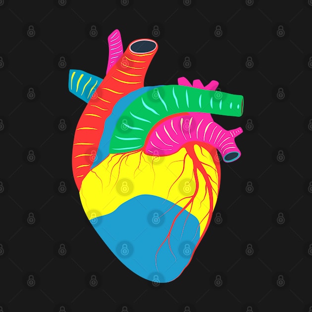 heart colorful anatomy by Mako Design 