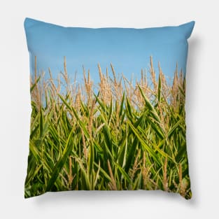 Corn Field Pillow