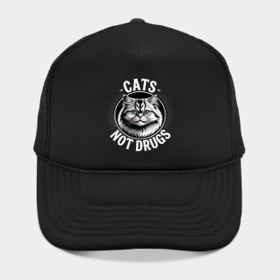 Cats Not Drugs Munchkin British Longhair Hat