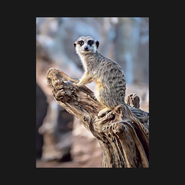 Meerkat Magic, Photography + Digital Art by AndrewGoodall