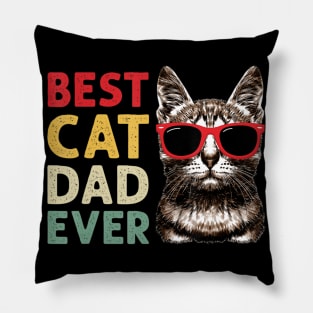 Best Cat Dad Ever Cat Daddy Fathers Day Pillow