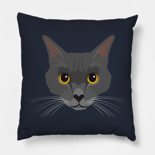 Korat cat Pillow