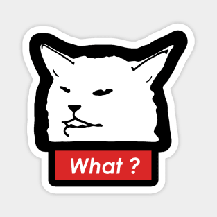 Confused Cat ask for What ? Magnet