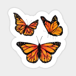 Migrating Monarchs Magnet