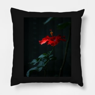 Hibiscus 2 Pillow