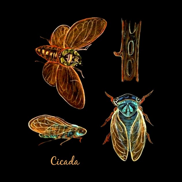 SUMMER CICADA Insect Lovers by ArtisticEnvironments