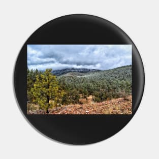 Snow In The Mountains Pin