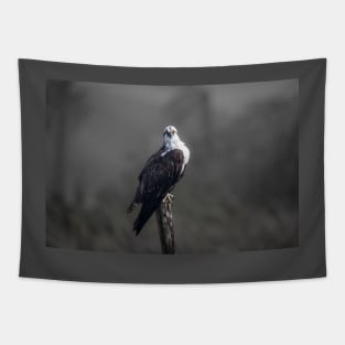 Bright Eyed Osprey Tapestry