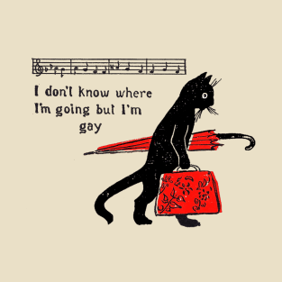 "I don't know where I'm going but I'm gay" cat meme T-Shirt