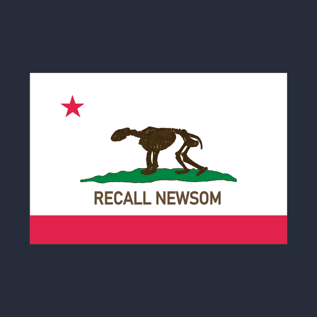 Recall Gavin Newsom by BigBrainMerch