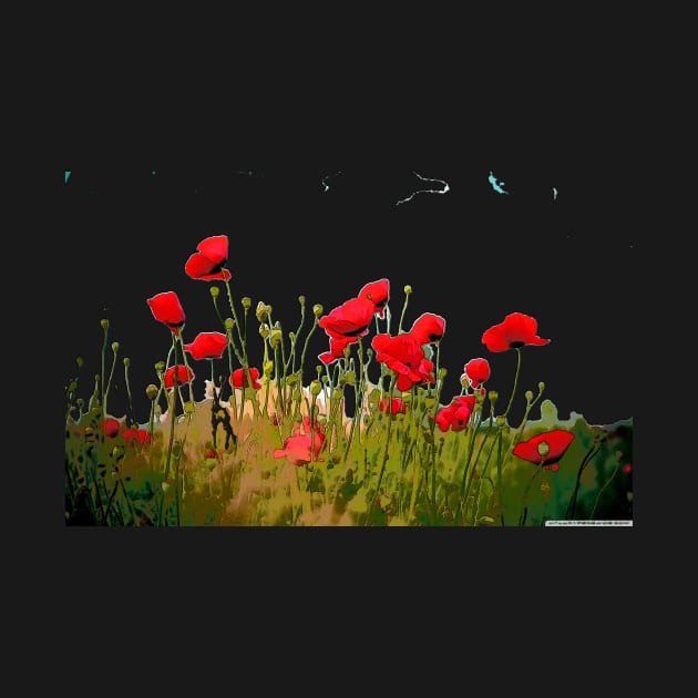 Poppies by bywhacky