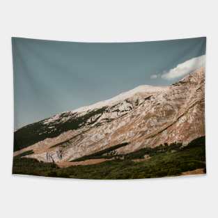 Mountain Side Tapestry