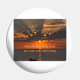 Beauty In The World Pin