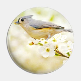 Tufted Titmouse with Seed Pin