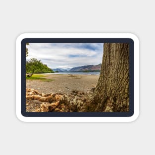 Derwentwater Trees And Mountains Magnet