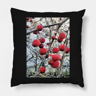 Crabapples in Winter Pillow