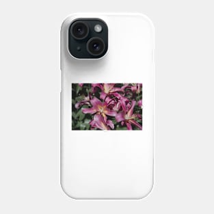 850_4496 Phone Case