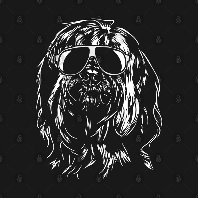 Funny Briard with sunglasses by wilsigns