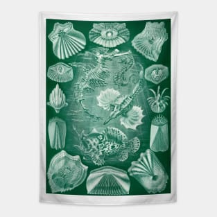 Teleostei by Ernst Haeckel Tapestry